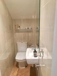 a bathroom with a white toilet and a sink at Experience beautiful duplex penthouse with terrace in Palma in Palma de Mallorca