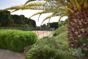 einen Tennisplatz mit einer Palme und einem Tennisschläger in der Unterkunft LA BADINE Appartement for 4 By Sunset Riviera Holidays in Antibes