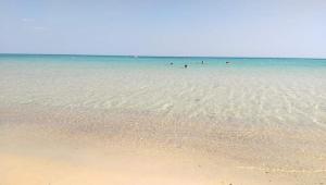 a group of people in the water at the beach at Studio du Lagon de Hammamet in Nabeul