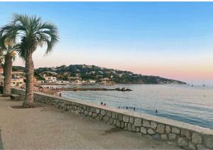 een strand met een palmboom en een steunmuur bij F1 bas de Villa, calme, proche plage et commerces in Le Pradet