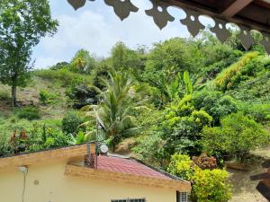 a view of a garden from a house at La Poulette amazonienne in La Mauny
