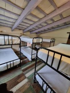 a group of bunk beds in a room at Punto Salta Hostel in Salta
