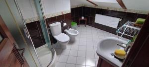 a bathroom with a shower and a toilet and a sink at Przysiółek Jabłonowice in Kierzkowo +27 photos