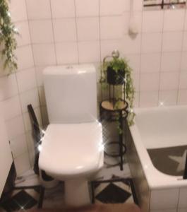 a bathroom with a white toilet and a bath tub at Idyllisches Nest über den Dächern in Dortmund