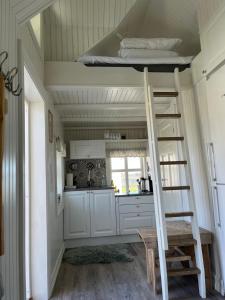 a kitchen with a loft bed in a tiny house at Olenilsøya Mini Villa in Reine