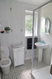a white bathroom with a toilet and a sink at Centrally located house on Ring of Kerry in Killorglin