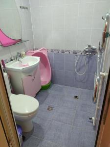 a bathroom with a pink sink and a toilet at Cozy apartment in Sevan City in Sevan