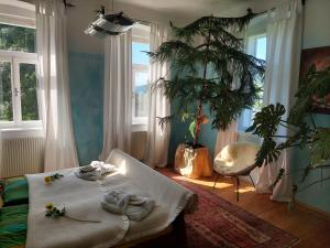 Zimmer mit einem Bett, einer Pflanze und Fenstern in der Unterkunft Romantik-Villa LebensART in Reichenfels