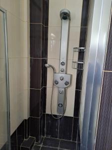 a shower in a bathroom with black tile at Ηome Rent Chalkida in Kánithos