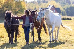 Altri animali domestici presso il campeggio di lusso o nei dintorni