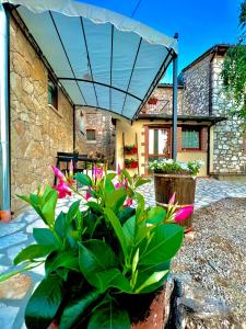 Una casa con un mucchio di piante in un giardino di B&B Fontanelle ad Alviano