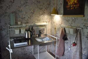 a kitchen with a sink in a room with wallpaper at Bieber`s Gästezimmer 