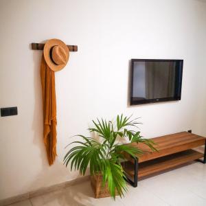a room with a bench and a tv and a plant at Apartamentos Mares de Lava - Playa Blanca in Playa Blanca