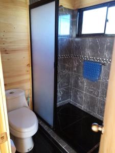 a bathroom with a toilet and a shower at Cabaña Felipe Kaluf in Constitución