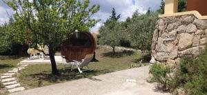 Zahrada ubytování Apple Tree Lodge