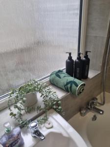 a bathroom sink with a plant on a window ledge at 2 bed luxury flat in Lambeth in London