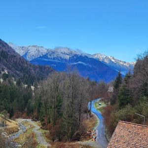uma vista para um rio com montanhas ao fundo em La Vita em Ravascletto