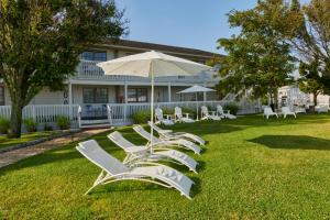 a row of white lounge chairs and an umbrella at The Sunset Montauk in Montauk