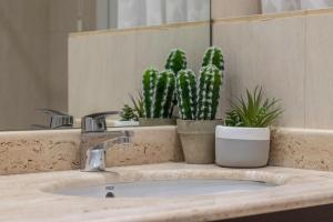 a bathroom sink with two potted plants on it at Apartamento La Alameda de Indautxu in Bilbao