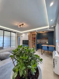 a bedroom with a bed and a table with a plant at Sunrise Apartment in Kotor