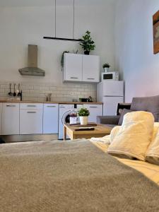 Kuchyňa alebo kuchynka v ubytovaní La Parra Apartamento