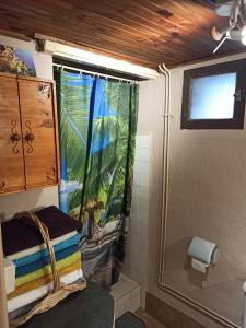 La petite salle de bains est pourvue d'une fenêtre et d'une douche. dans l'établissement Maison familiale centenaire de vigneron, à Montescot