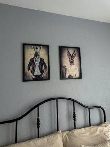 three pictures of animals on a wall above a bed at Cityscape Apartment ~ AC/Indoor parking/Balcony in Budapest