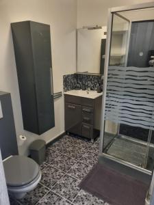 a bathroom with a shower and a toilet and a sink at Studio à 2 pas de Disneyland in Esbly