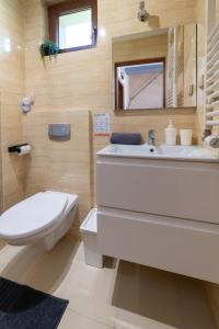 a bathroom with a sink and a toilet and a mirror at Willa Vistula DOMKI na WYŁĄCZNOŚĆ in Wisła