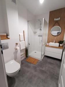 La salle de bains est pourvue d'une douche, de toilettes et d'un lavabo. dans l'établissement Harmony Apartment, à Ostróda