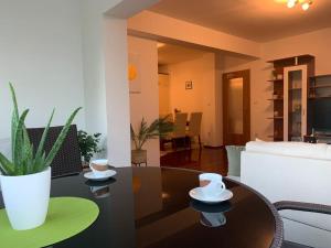 a living room with a table with two cups on it at Tranquil verde in Matulji