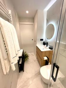 a bathroom with a toilet and a sink and a mirror at APARTAMENTO MENTURA Centro de San Sebastian Parking FREE in San Sebastián