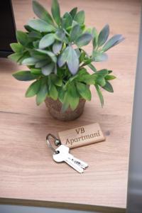 普里耶多尔Vb apartmani的相册照片