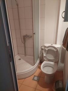 a small bathroom with a toilet and a shower at Shale apartments and rooms in Gevgelija