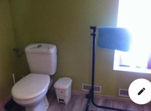 a bathroom with a white toilet and a blue lamp at Chez Franck et Sandra in Sainte-Menehould