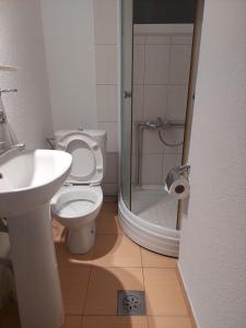 W łazience znajduje się toaleta, umywalka i prysznic. w obiekcie Shale apartments and rooms w mieście Gewgelija