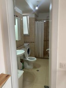 W łazience znajduje się toaleta, umywalka i prysznic. w obiekcie The Flip-Flop Apartment w mieście Shëngjin
