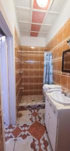 拉塞瓦的住宿－hotel trinidad，一间带水槽、卫生间和淋浴的浴室