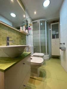 y baño con aseo, lavabo y ducha. en Apartamento Con Vistas Al Pilar con Aparcamiento privado en Zaragoza