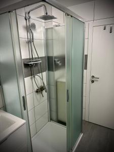 a shower with a glass door in a bathroom at DeLuxe - Apartment ' Andrei 2 ' - Neu in Neuburg an der Donau mit Klimaanlage in Neuburg an der Donau