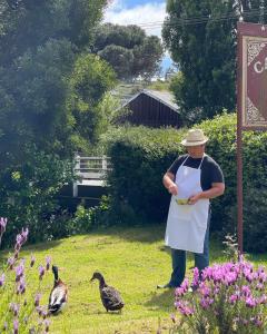 a man in an apron standing in a garden with ducks at Cambridge House Breakfast & Bed in Geeveston
