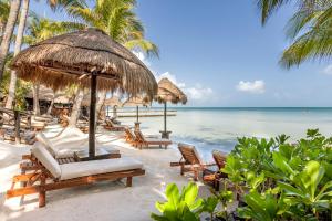 una playa con sillas y sombrillas y el océano en Beachfront Hotel La Palapa - Adults Only, en Isla Holbox