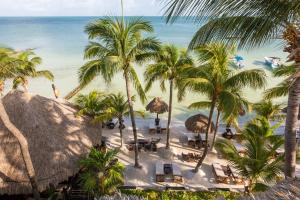 una spiaggia con palme, sedie e l'oceano di Beachfront Hotel La Palapa - Adults Only a Isola Holbox
