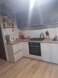 Η κουζίνα ή μικρή κουζίνα στο Ilias home