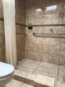 a bathroom with a shower with a toilet at Cabaña Mamá Elia in Trinidad
