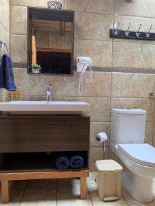 a bathroom with a sink and a toilet at Cabaña Mamá Elia in Trinidad