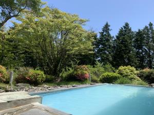 a large blue swimming pool in a garden at Hakone Yunohana Prince Hotel in Hakone