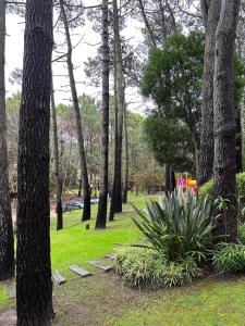 a park with a bunch of trees and a plant at Kimbara Bosque y Mar in Mar de las Pampas