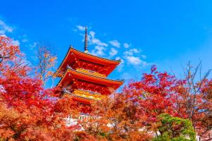 Galeri foto Tokyu Stay Kyoto Sakaiza Shijo Kawaramachi di Kyoto