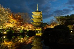 Kebun di luar Tokyu Stay Kyoto Sakaiza Shijo Kawaramachi